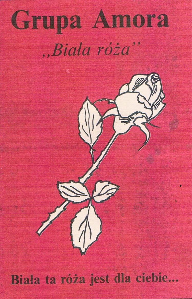 Grupa Amora - Biala Róża