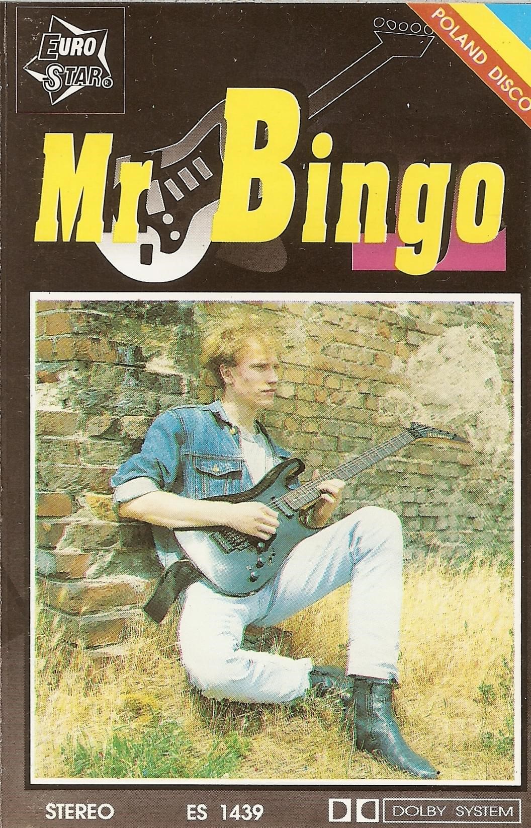 Mr Bingo