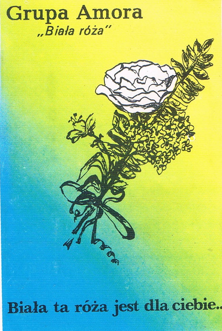 Grupa Amora - Biała róża